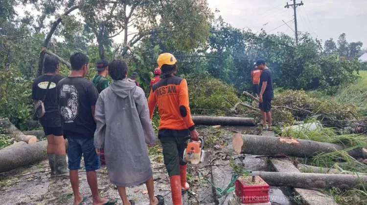 full 1773026306828128 3fca6e726e berita yogyakarta